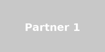 Partner 1