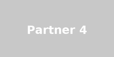 Partner 4